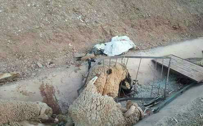 بالصور والفيديو حادثة سير مميتة بين جرادة و تاوريرت