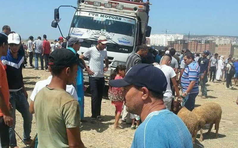  ارتفاع مهول في الاضاحي بطنجة في غياب للمراقبة