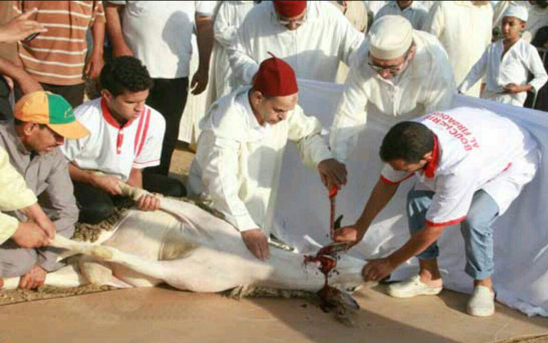   أجواء صلاة عيد الأضحى في الدار البيضاء