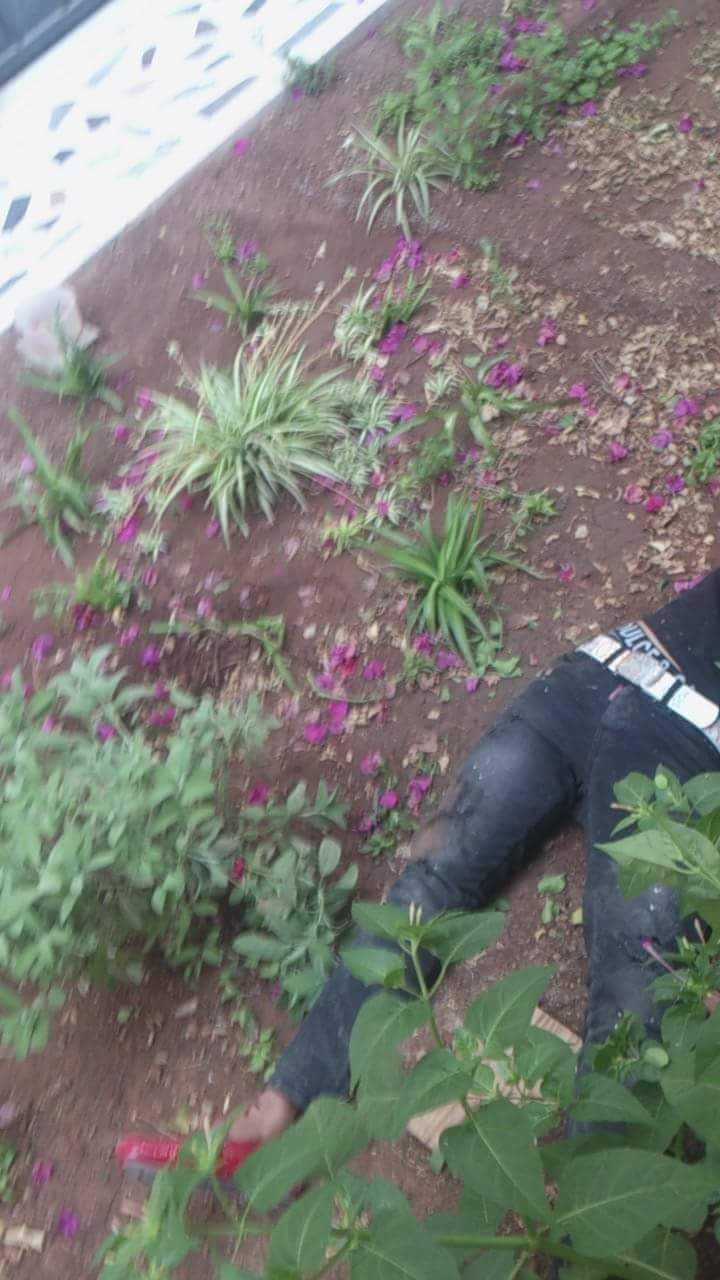 شرطية