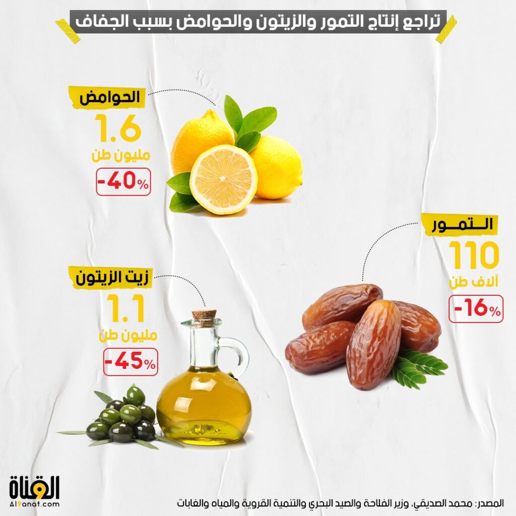 تراجع إنتاج التمور والزيتون والحوامض بسبب الجفاف