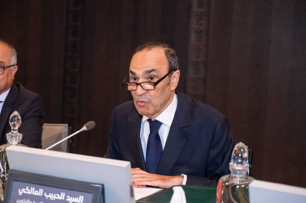 الحبيب المالكي، رئيس المجلس الأعلى للتربية والتكوين والبحث العلمي
