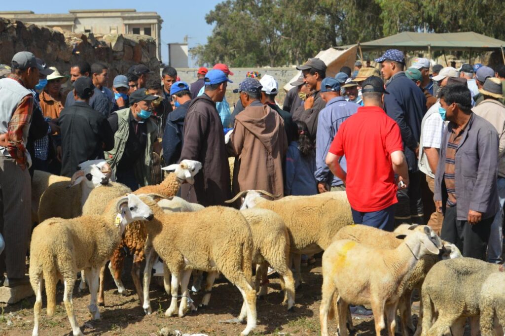 سوق لبيع أضاحي العيد