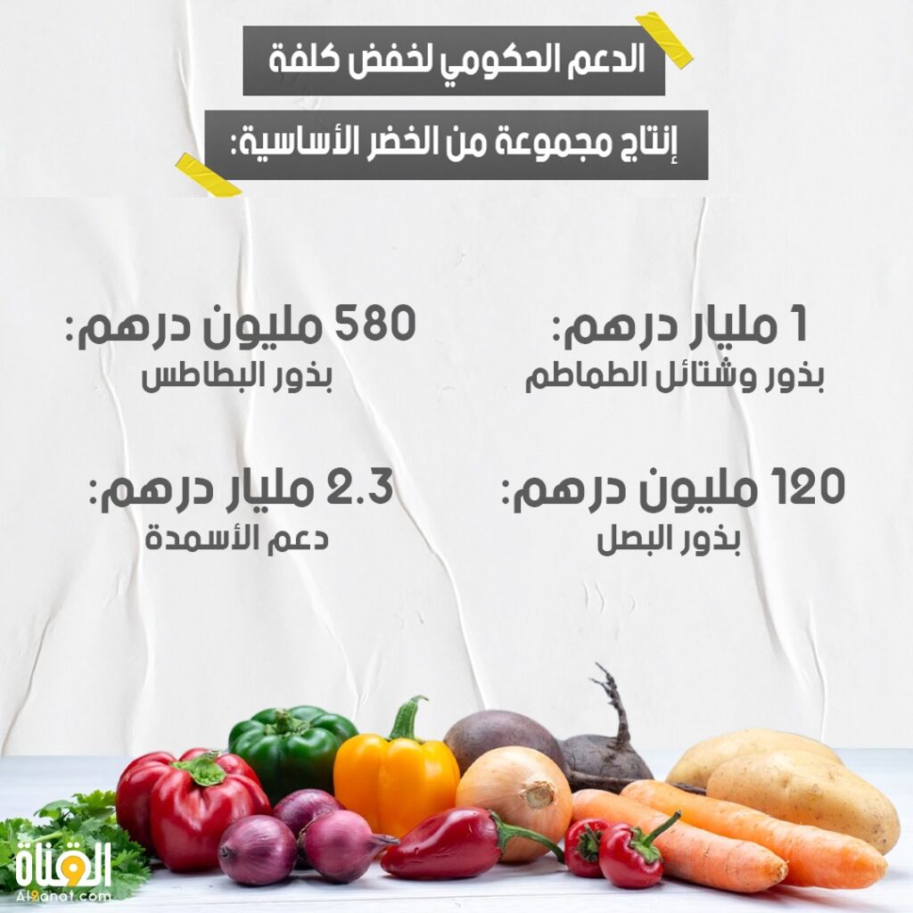 الدعم الحكومي لخفض كلفة إنتاج مجموعة من الخضر الأساسية