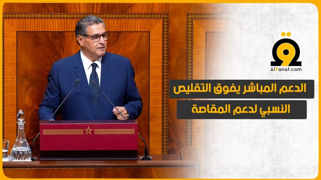 ‎أخنوش: الحكومة تراهن على حماية الطبقة المتوسطة