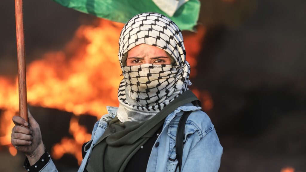 صورة تعبيرية من محركات البحث