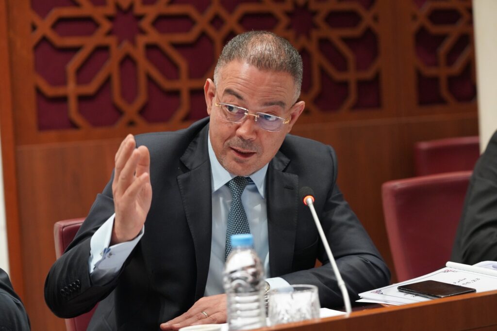 فوزي لقجع، الوزير المنتدب المكلف بالميزانية،