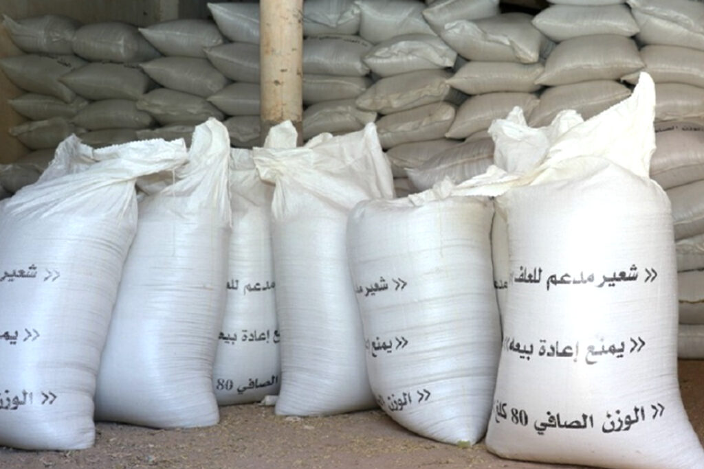 الشعير المدعم
