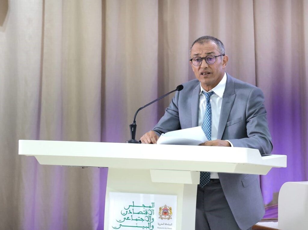 رئيس المجلس الاقتصادي والاجتماعي والبيئي أحمد رضى شامي
