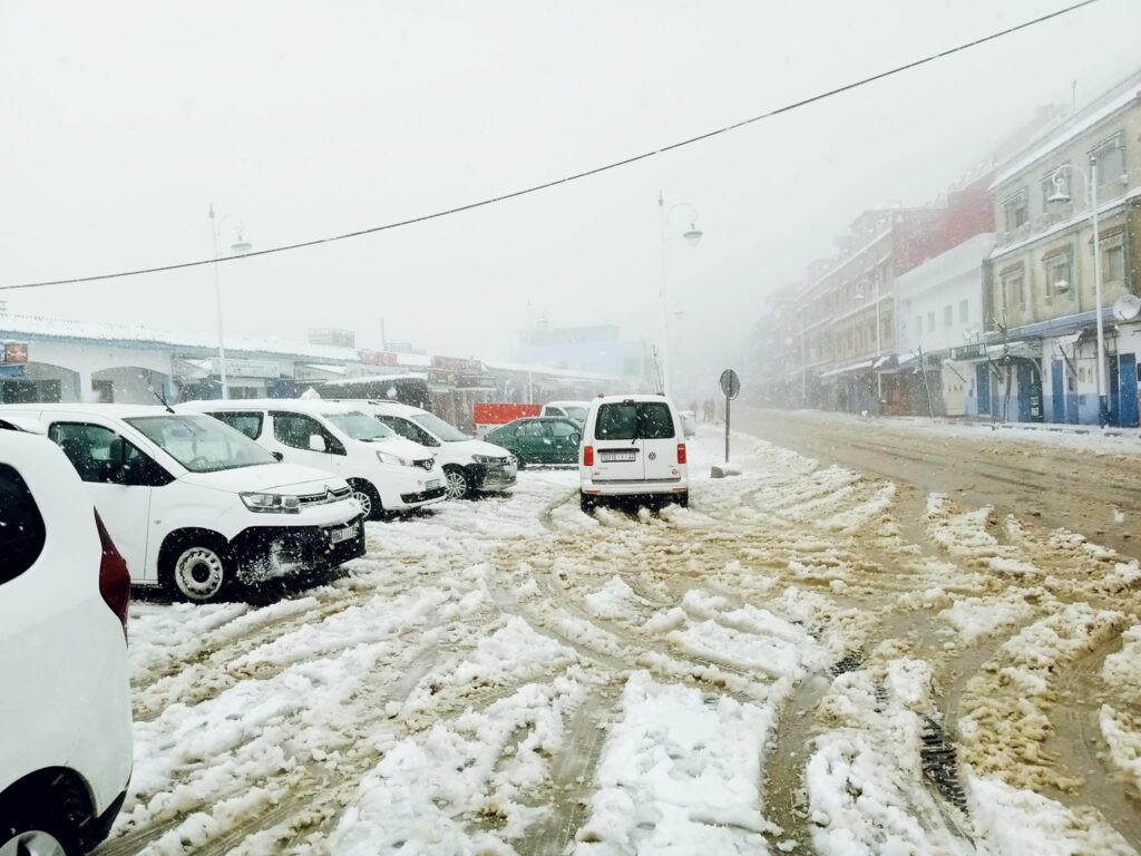تساقطات ثلجية / أرشيف