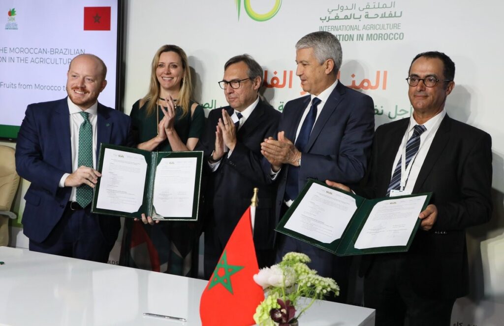انفتاح السوق البرازيلية على الحوامض المغربية