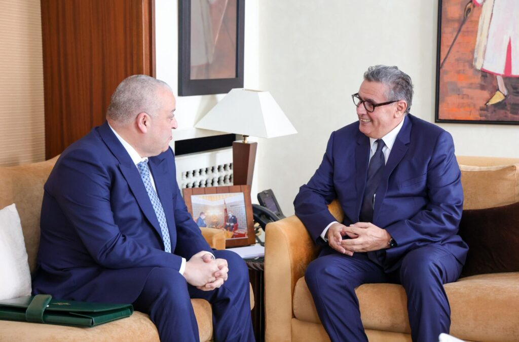 السيد رئيس الحكومة يستقبل رئيس الهيئة الوطنية للمعلومات المالية