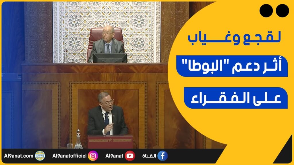 فوزي لقجع // الوزير المنتدب المكلف بالميزانية