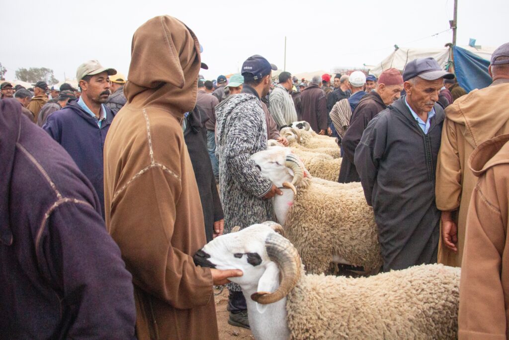 سوق دكالة بإقليم الجديدة