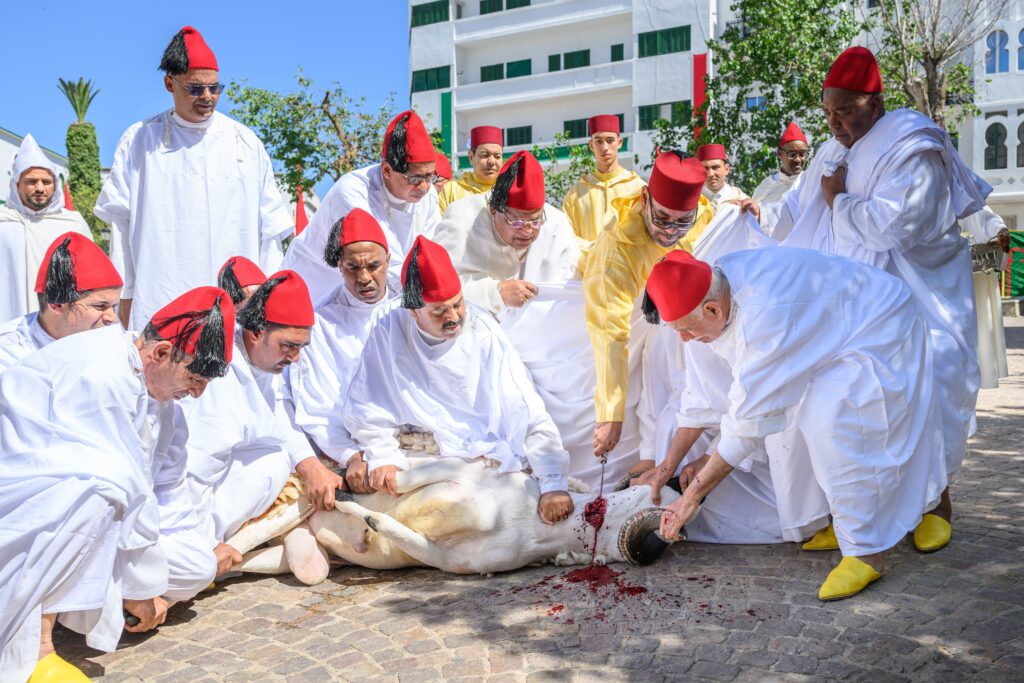 الملك محمد السادس