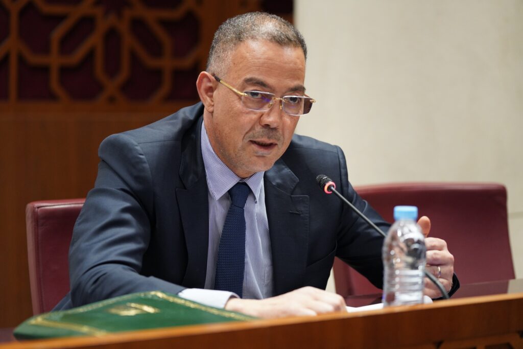 الوزير المنتدب المكلف بالميزانية، فوزي لقجع،