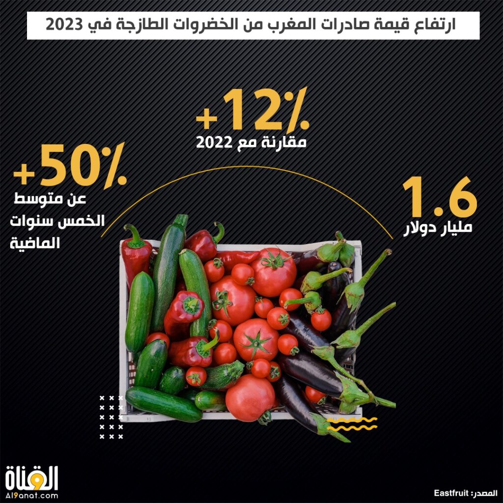 ارتفاع قيمة صادرات المغرب من الخضروات الطازجة في 2023