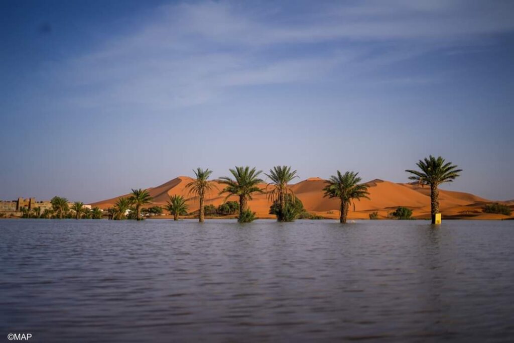 واحة مرزوكة