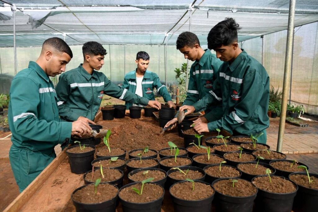 شباب يحضرون دورة عملية في أبي رقراق ميد ميد ، أول مدرسة للبستنة في المغرب