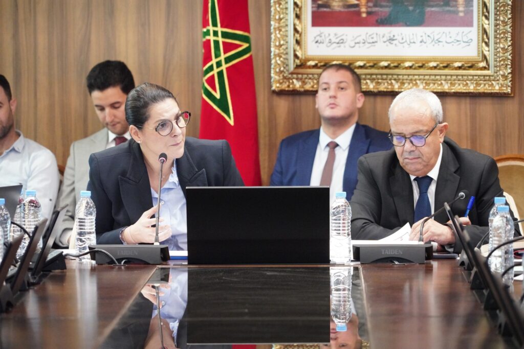 فاطمة الزهراء المنصوري في اجتماع لجنة الداخلية والجماعات الترابية والسكنى وسياسة المدينة والشؤون الإدارية