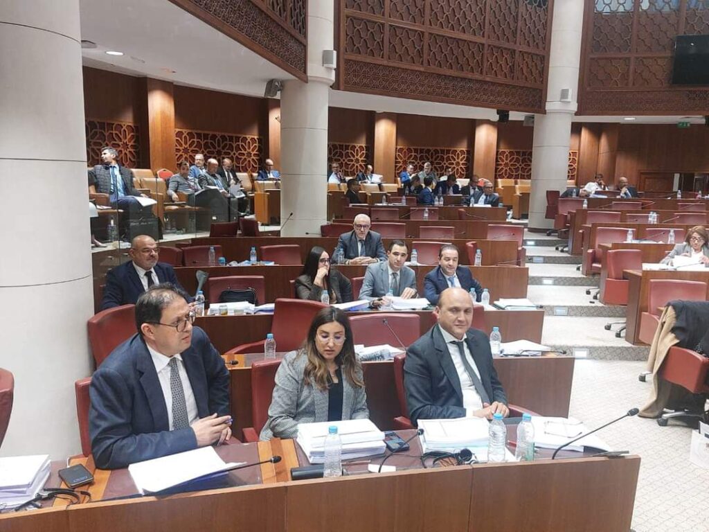 لجنة المالية والتنمية الاقتصادية