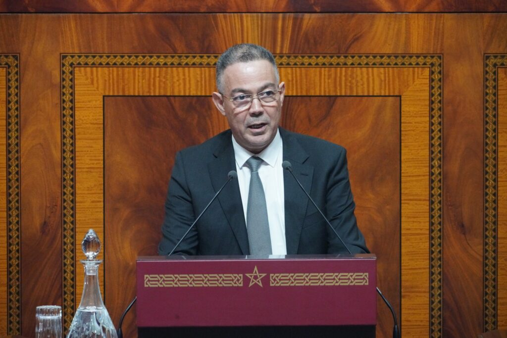 الوزير المنتدب المكلف بالميزانية، فوزي لقجع