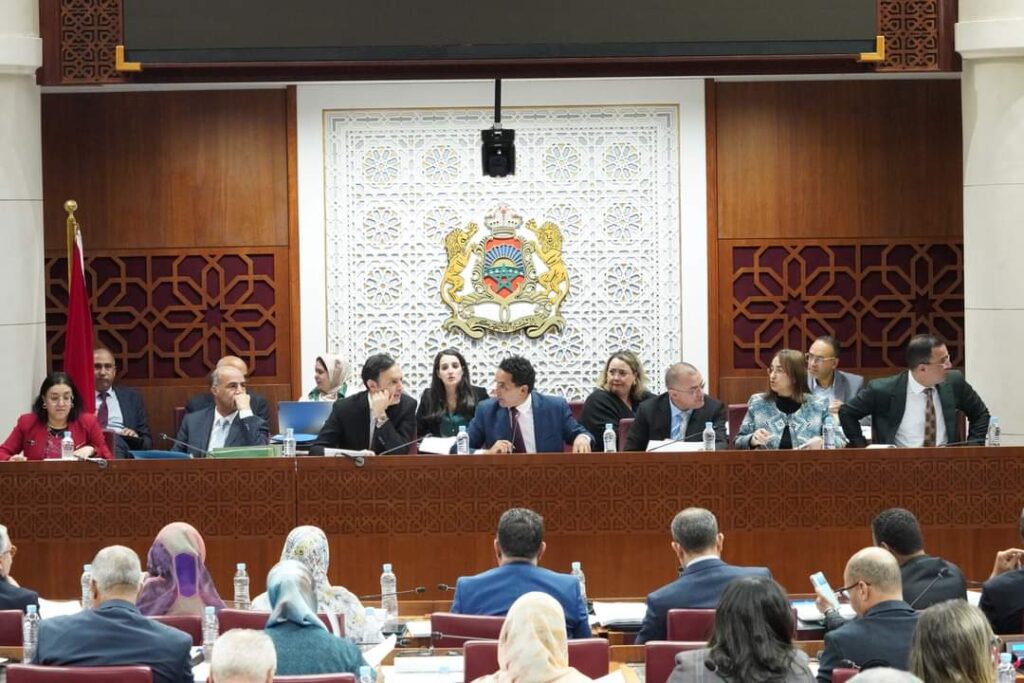 لجنة القطاعات الاجتماعية بمجلس النواب