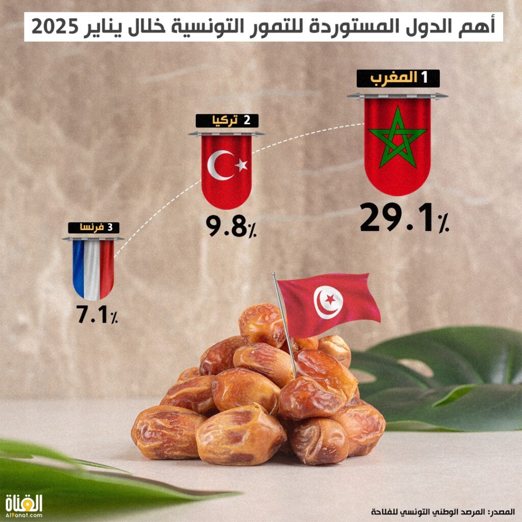 أهم الدول المستوردة للتمور التونسية خلال يناير 2025