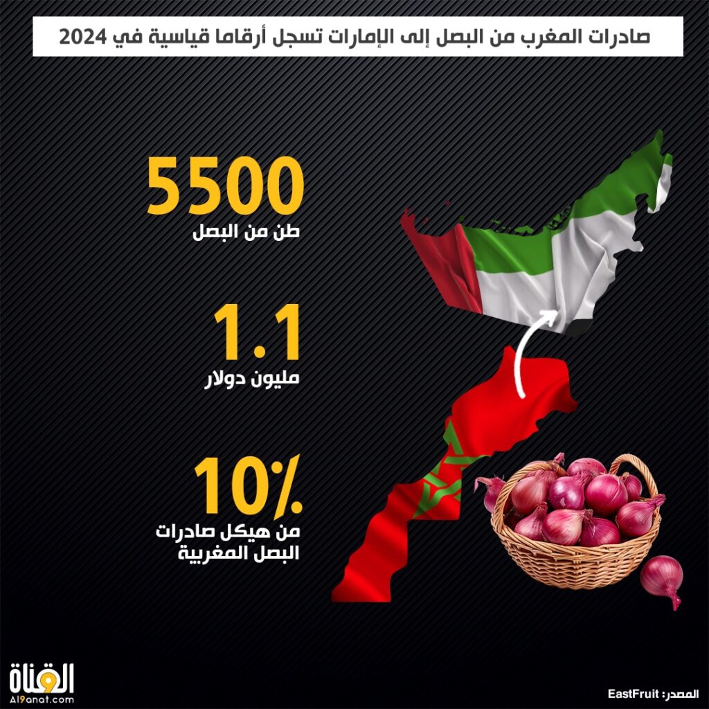 صادرات المغرب من البصل إلى الإمارات تسجل أرقاما قياسية في 2024