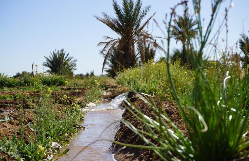 توقعات أحوال الطقس