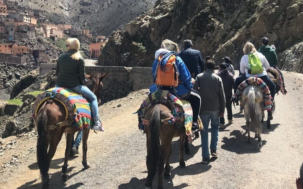 السياحة