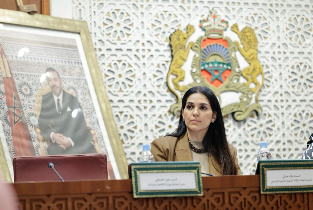 المديرة العامة للوكالة الوطنية للدعم الاجتماعي، وفاء جمالي