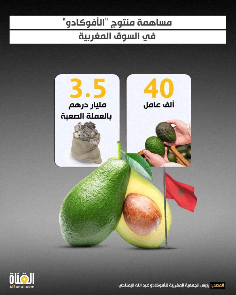 مساهمة منتوج "الأفوكادو" في السوق المغربية