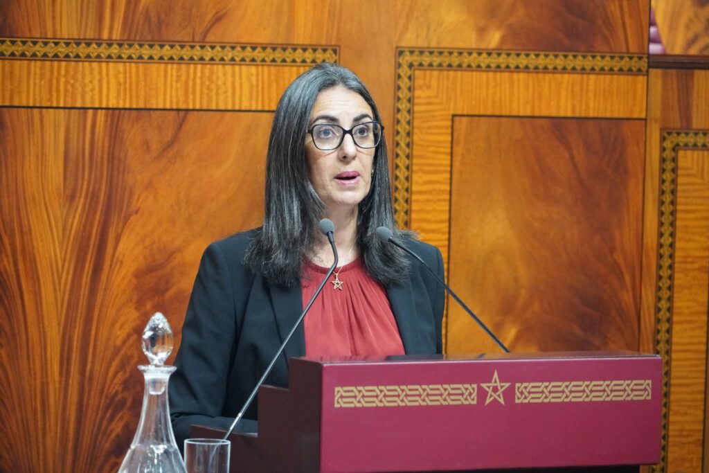 وزيرة الاقتصاد والمالية، نادية فتاح
