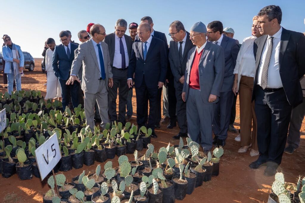 البواري يزور مشاريع غرس الصبار والزرع المباشر والري التكميلي بجهة الدار البيضاء-سطات