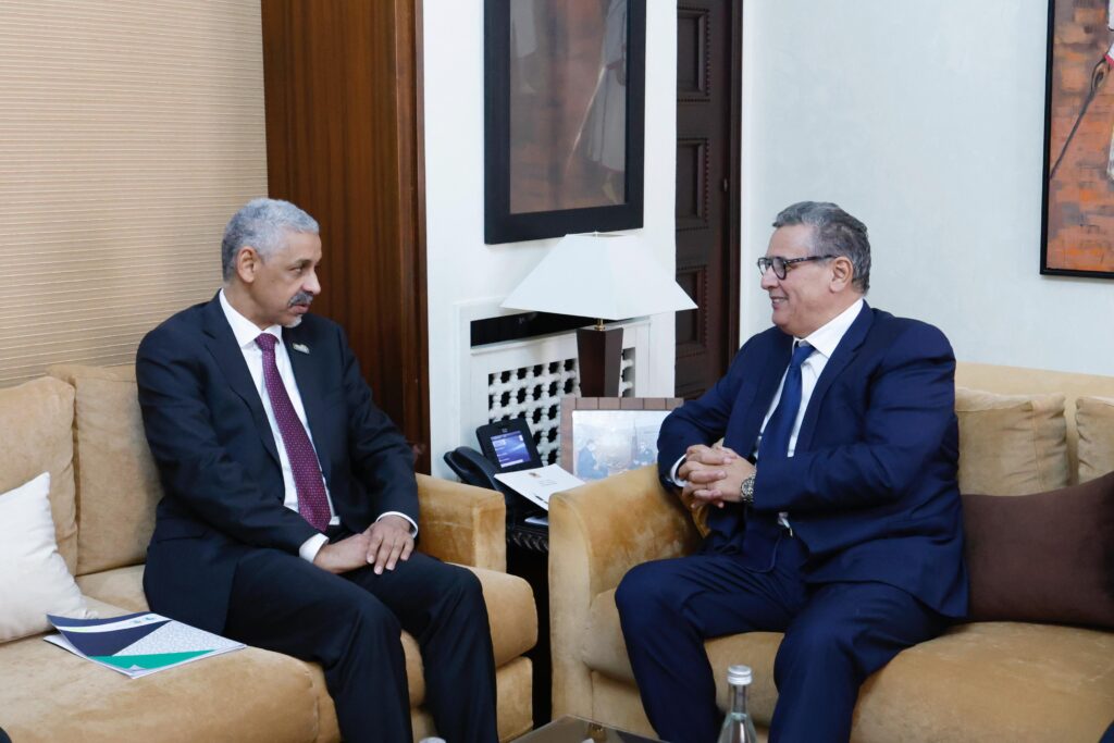 رئيس الحكومة يجري مباحثات مع رئيس مجموعة البنك الإفريقي للتنمية