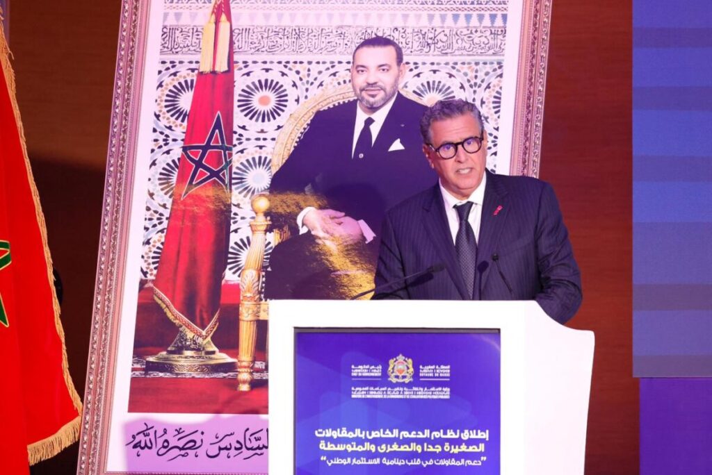 أخنوش: نظام دعم المقاولات الصغيرة جدا والمتوسطة جهوي بامتياز ويقدم منحا تصل إلى 30% من مبلغ الاستثمار