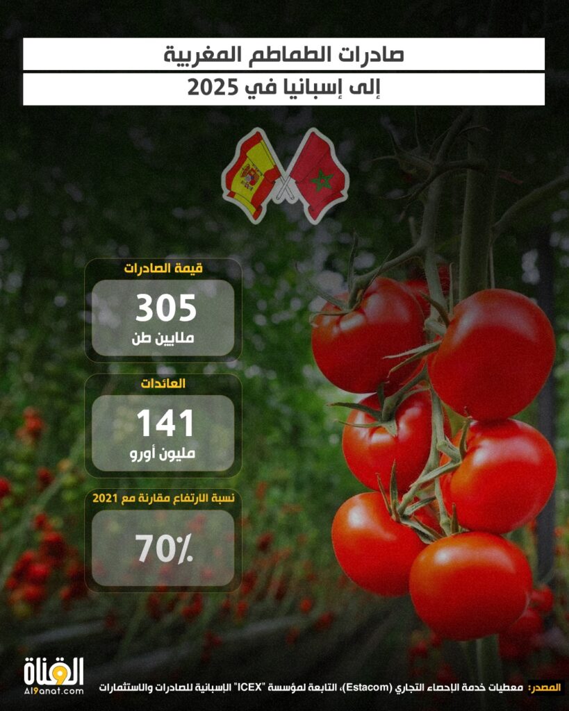 صادرات الطماطم المغربية إلى إسبانيا في 2025