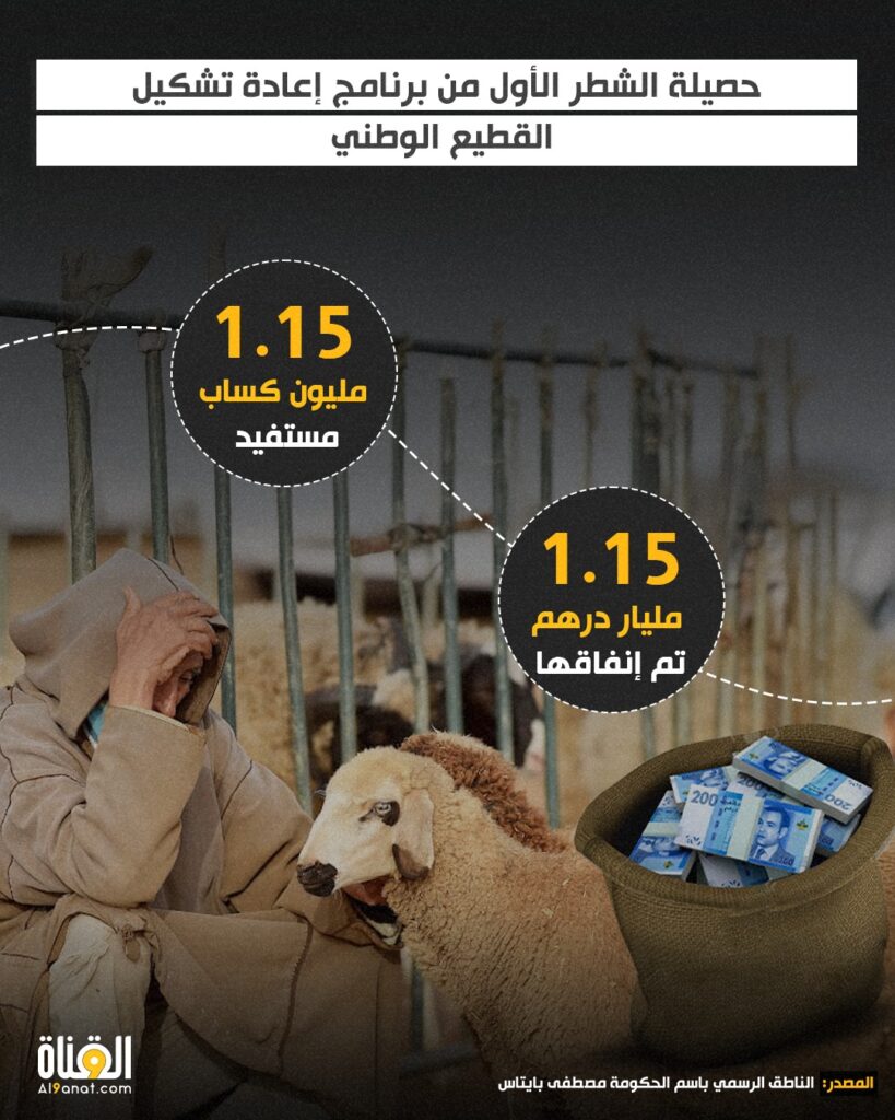 بالأرقام.. توزيع الدعم المالي المباشر على 1.15 مليون كساب بمختلف جهات المملكة