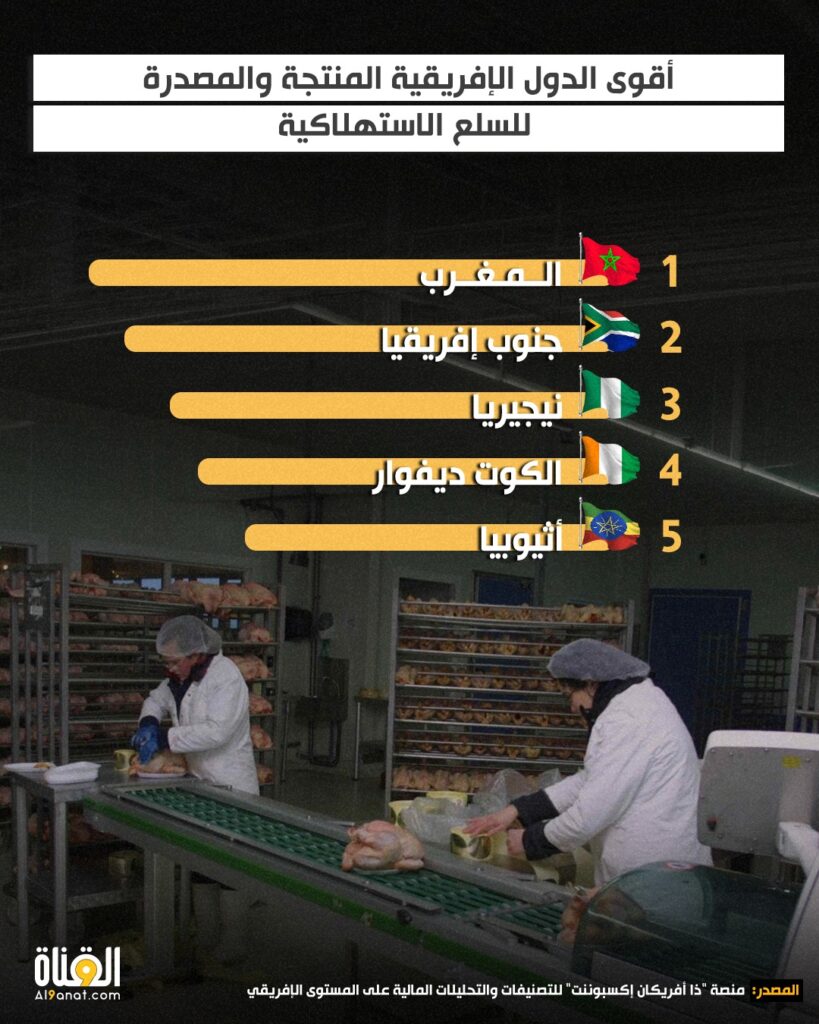 أقوى الدول الإفريقية المنتجة والمصدرة للسلع الاستهلاكية