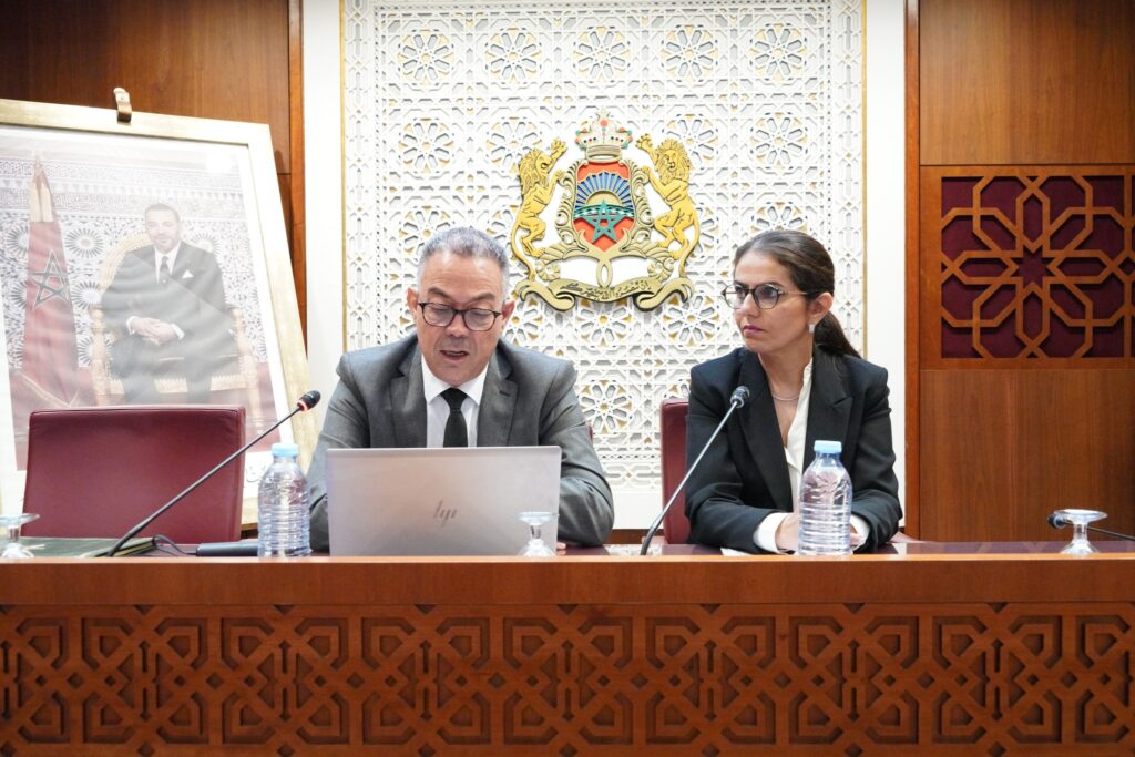 الوزير المنتدب المكلف بالميزانية، فوزي لقجع