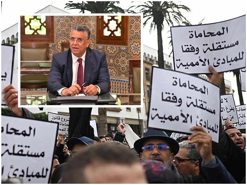 المحامون التجمعيون ينتقدون إصرار وهبي على تمرير قانون المهنة في “الوقت الميت” المحامون التجمعيون يجمدون أنشطتهم ويعلنون الرفض القاطع لمشروع قانون المهنة