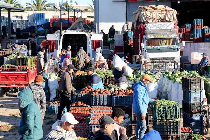 المندوبية السامية للتخطيط ترصد تطورات الأسعار خلال غشت سوق الجملة بالمغرب