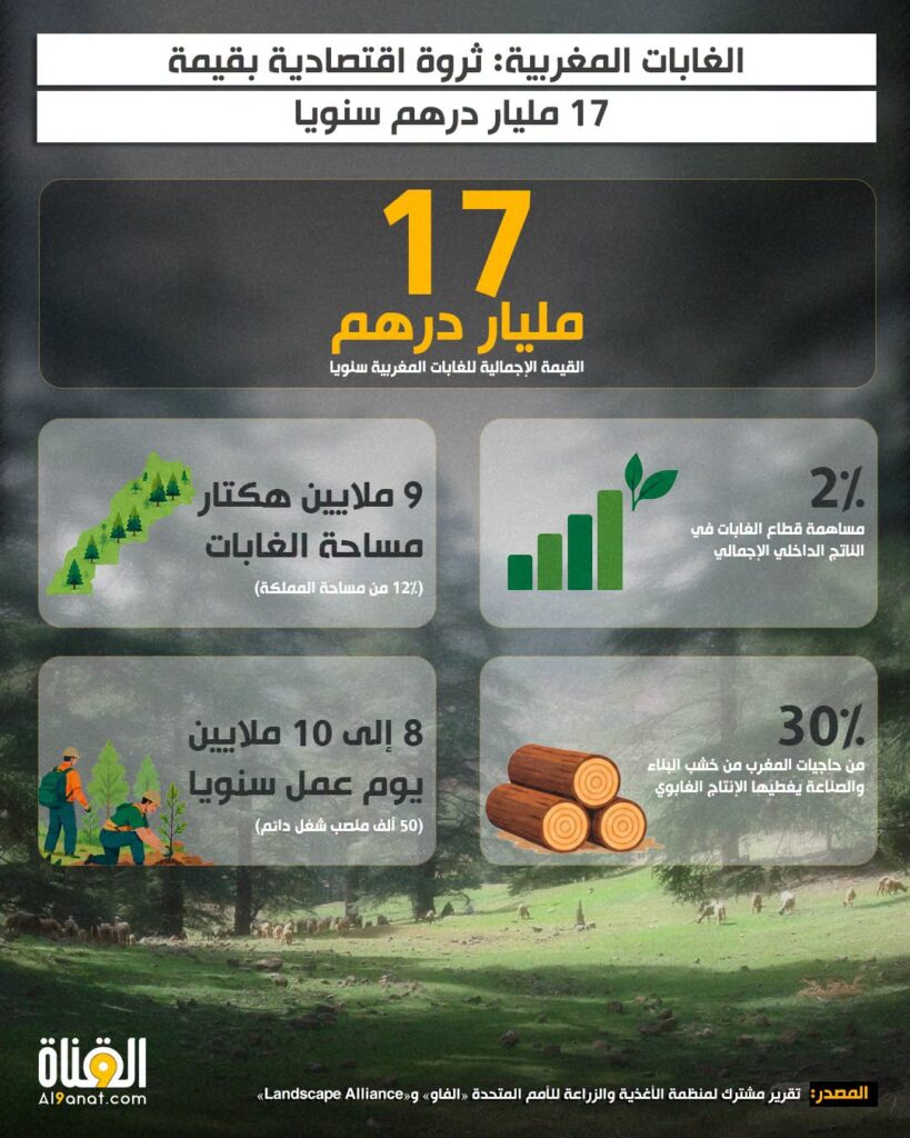 الغابات المغربية: ثروة اقتصادية بقيمة 17 مليار درهم سنويا