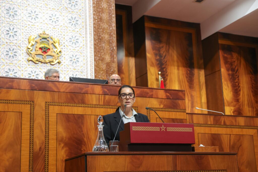 المنصوري: البرنامج الحكومي يستهدف الاستجابة للأولويات الاجتماعية والاقتصادية للمغاربة
