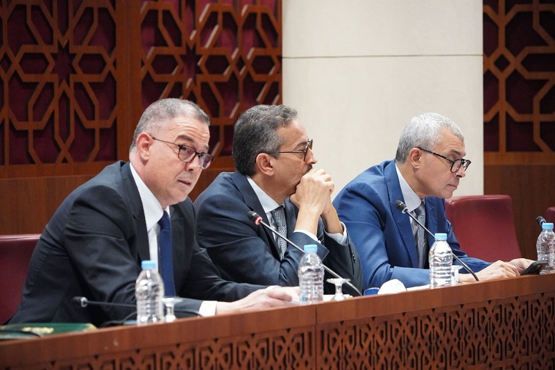 لقجع: مراجعة الضريبة على الدخل تستهدف تخفيف العبء المالي عن الأجراء فوزي لقجع