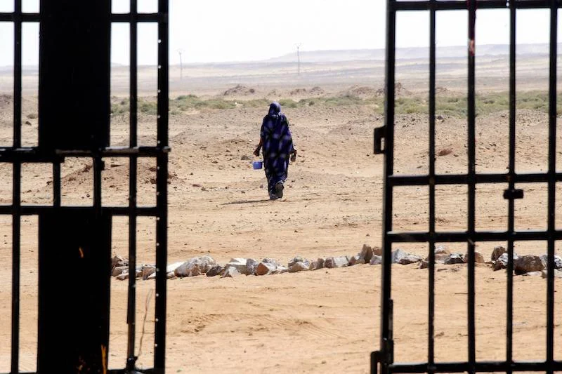الطيار يفتح ملف العائدين من تندوف ويطرح سؤال “من يحق له الدخول؟” سيدة صحراوية من مخيمات تندوف الجزائرية